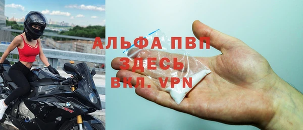 крисы Касимов