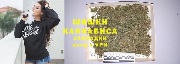 крисы Касимов