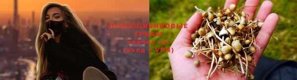 каннабис Карпинск