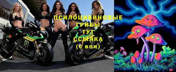 индика Бежецк