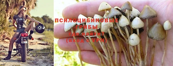 PSILOCYBIN Кинешма