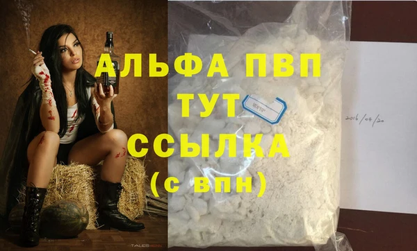 крисы Касимов
